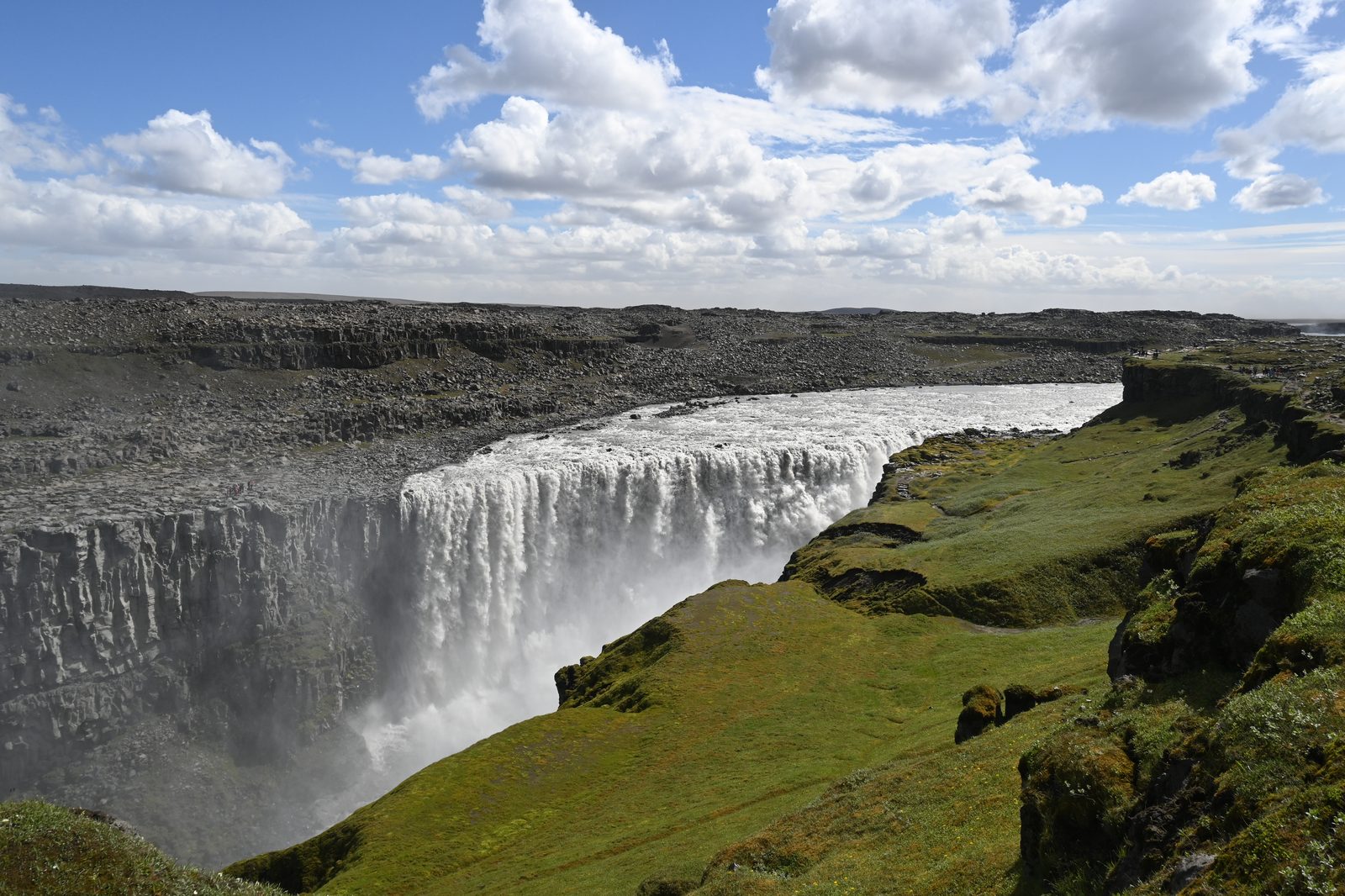DSC_7827.JPG